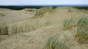 D&uuml;nenlandschaft auf der kurischen Nehrung