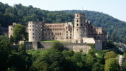 Schlo&szlig; Heidelberg