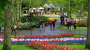 Keukenhof