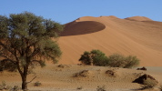 Namib W&uuml;ste